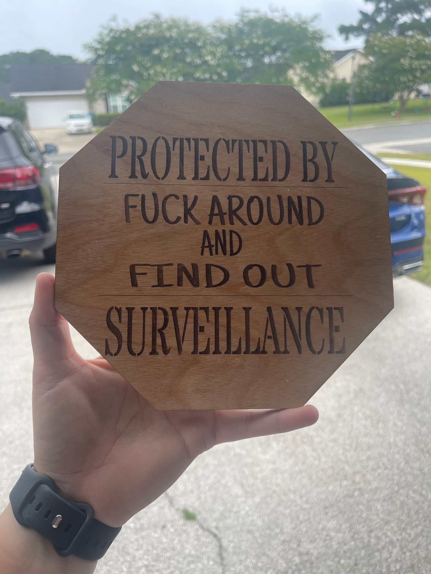F Around and Find Out Surveillance Sign