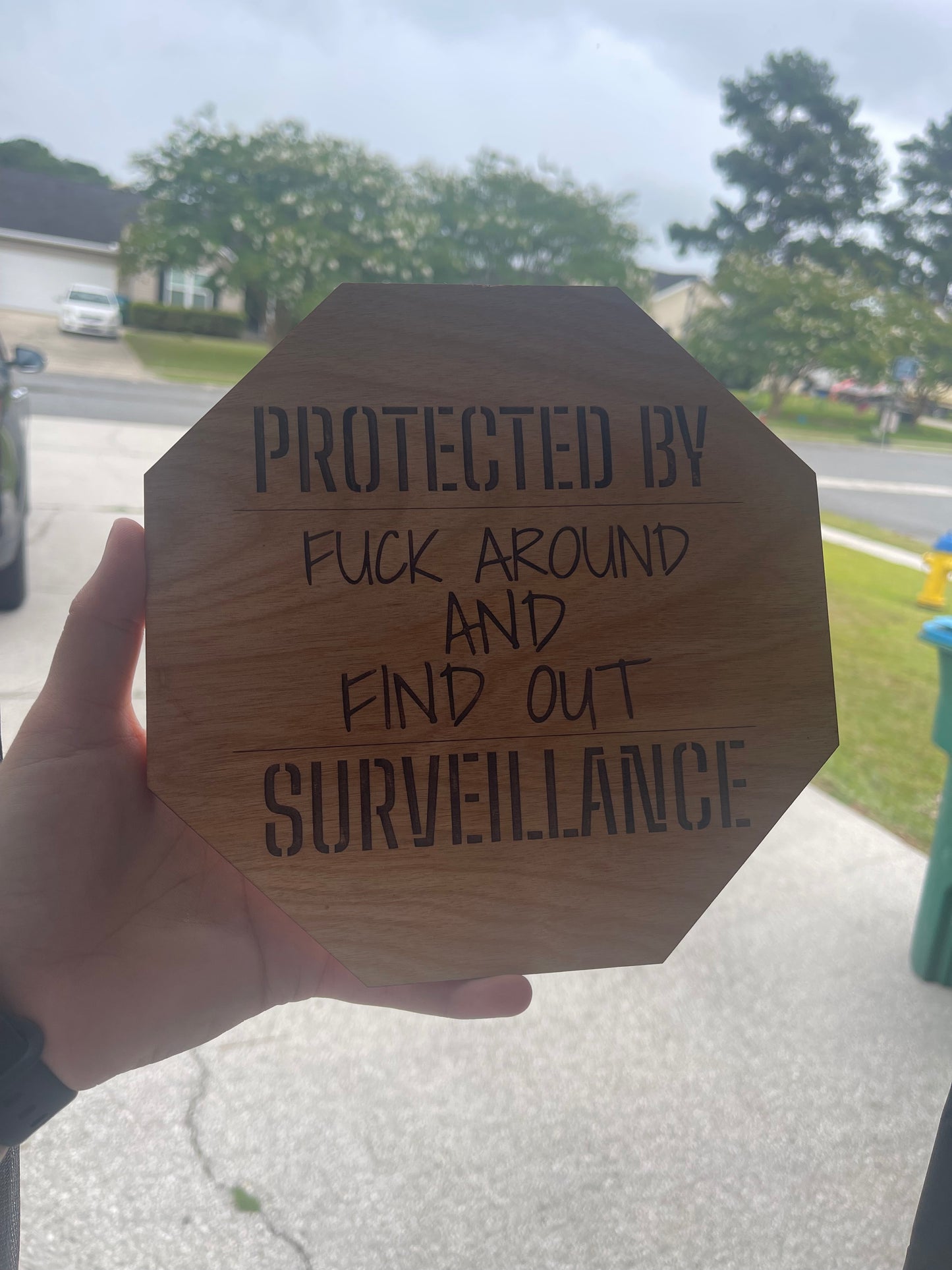 F Around and Find Out Surveillance Sign